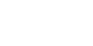 raydient.png